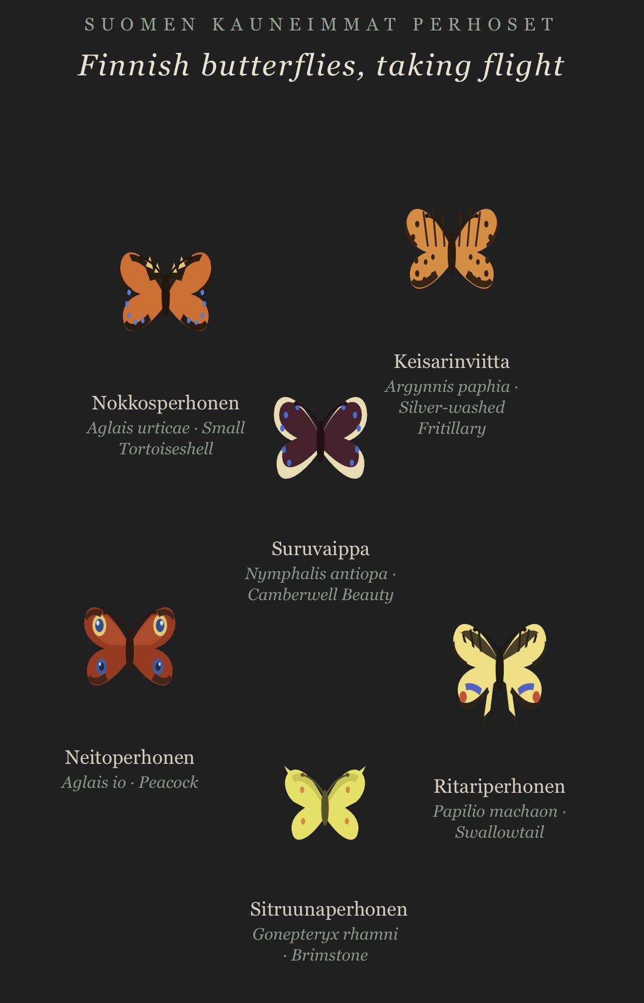 Suomen kauneimmat perhoset — Finnish butterflies, taking flight: an illustrated plate of seven Finnish butterfly species with their Finnish, Latin, and English names
